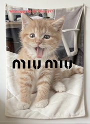 Luxury Miu Miu Orange Tabby Cat Print Flannel Sofa Throw Blanket - Cute Kitten Graphic IMG_0517